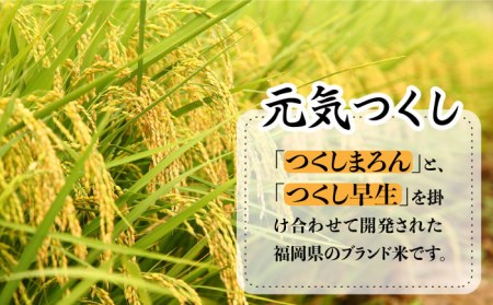 糸島のお米 元気つくし 5kg  糸島市 / 伊都菜彩 [AED015]