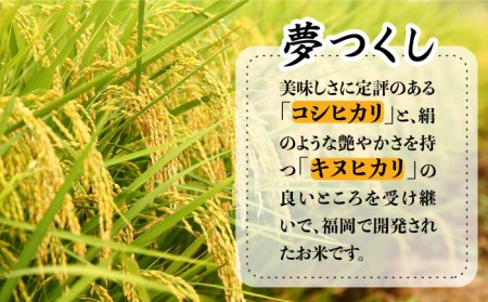 令和5年産！糸島のお米 夢つくし 「糸島美人」10kg （ 5kg×2 ）  糸島市 / 伊都菜彩 [AED016]