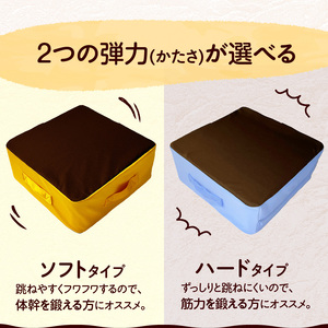 ジャンピングクッション 機能性クッション 弾力 椅子 カラークッション 立体クッション  [023M13]