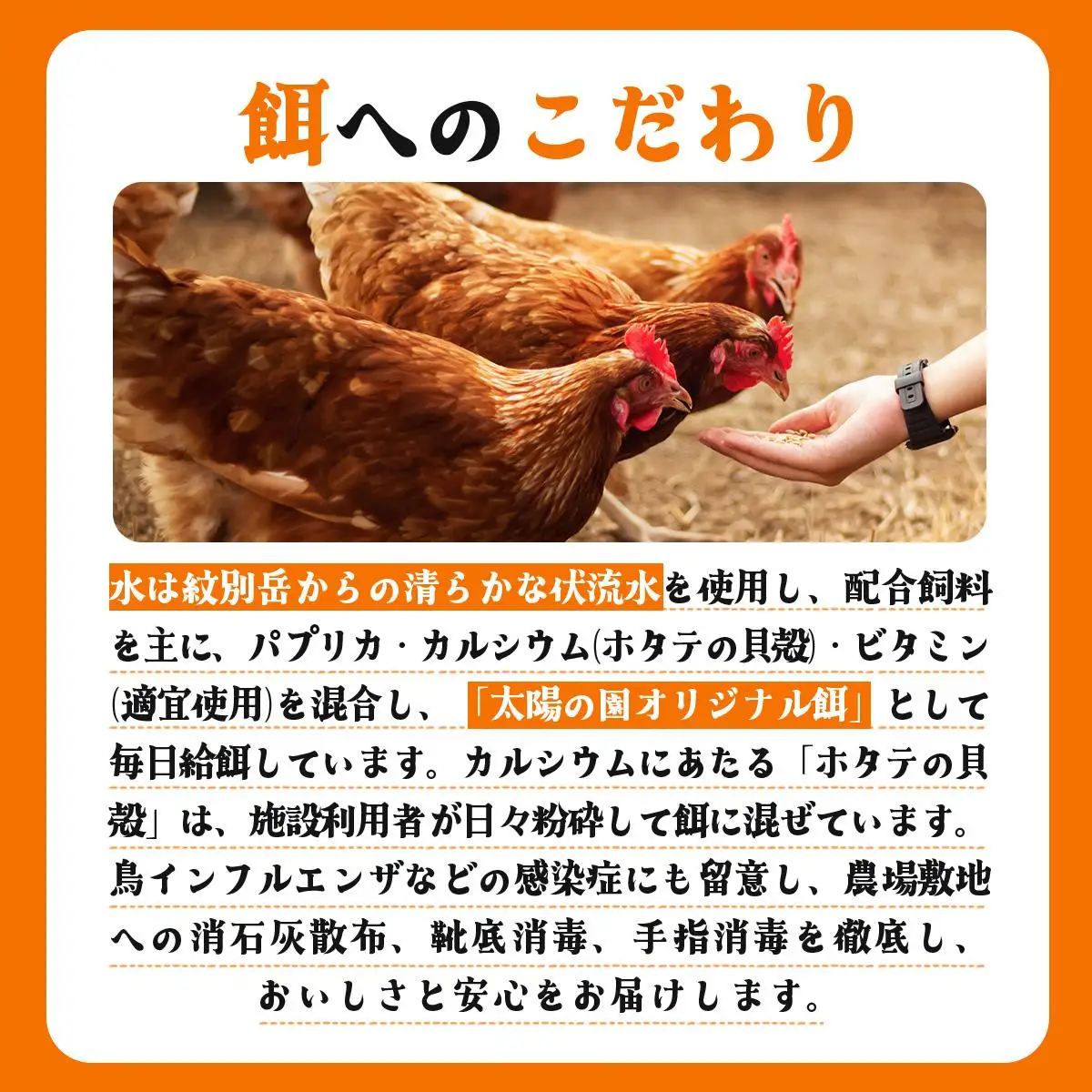 [5525-0759]北海道産 6ヵ月連続お届け   たまごの心 40個 Lサイズ   太陽の園  の平飼たまご  有精卵 北海道 伊達市 たまご 卵 生たまご 鶏卵  鶏の卵 ポリスブラウン 食材 卵かけごはん TKG オムレツ オムライス 【農福連携】