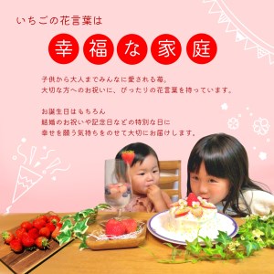 大空夏いちご農園　希少な夏いちご『サマープリンセス』１箱（2パック入り）【お届け希望日をご指定下さい（７月下旬から11月中旬まで）】