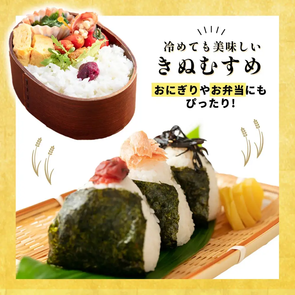 【スピード配送】きぬむすめ 10kg 白米 令和７年産