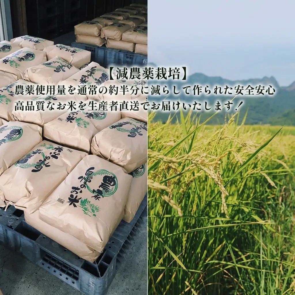 ななつぼし 白米 富良野産 減農薬 山本農園 ななつぼし【10kg】令和8年産