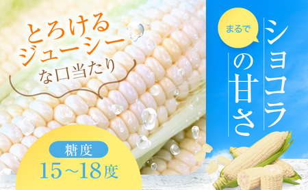 2026発送 富良野 ホワイトコーン『ホワイトショコラ』2L10本 とうもろこし