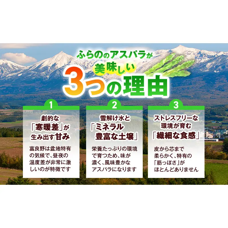 グリーンアスパラ 富良野産 露地 Lサイズ グリーンアスパラ【約1kg】