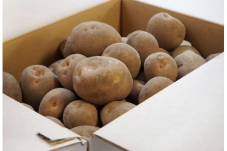 ［先行受付］おとふけ産じゃがいも「きたあかり」10kg（M～Lサイズ）【B28】