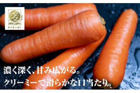 「愛（めぐみ）NINJIN」3本セット（にんじんジュース）【B36】
