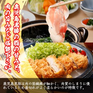 isa414 鹿児島黒豚しゃぶしゃぶ・とんかつセット(計900g)バラスライス・カタローススライス・ロースとんかつ用各300g＜Ｋ-1501＞【JA北さつま】