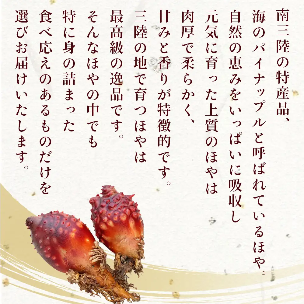 ホヤ 宮城県産 ほや尽くしお試し5点セット 食べ比べ ほや塩辛 蒸しホヤ 刺身 ほや むき身 農産品厚 HOYA 海鞘 おつまみ 魚介 海鮮 珍味 へそほや 刺身ほや 蒸しほや 詰め合わせ 海の パイナップル 酒の肴 おつまみ 日本酒 ビール おまけ付 宮城県 石巻市