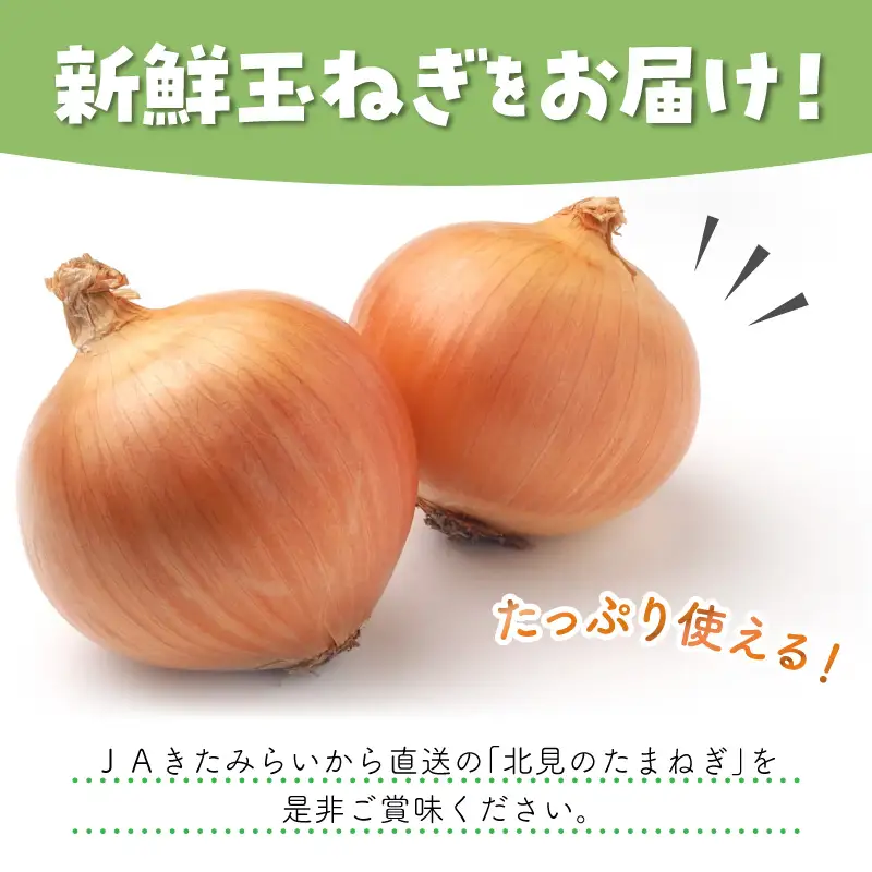 【隔月2回(1月・3月)定期便】JAきたみらいから直送する新鮮玉ねぎ 10kg Lサイズ以上 ( 野菜 定期便 玉葱 たまねぎ 期間限定 )【999-0007-2026】