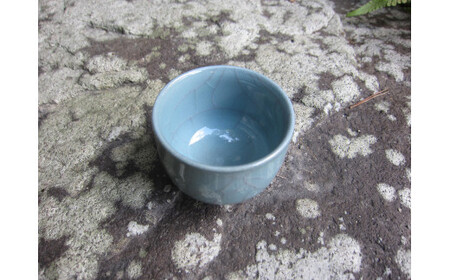 日展会友 照井一玄作 紛青ぐい吞 酒器 ぐいのみ おちょこ 作家 伝統工芸 ギフト 贈答 35000円 3.5万円 ap007