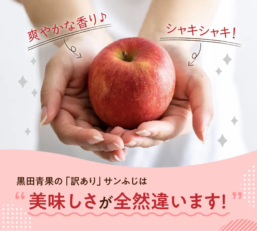 【2026年12月前半発送】【ちょっと訳あり】 りんご 約10kg サンふじ 青森県産 りんご