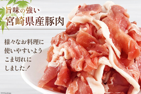 宮崎県産 豚 小間切れ 小分け 300g×10袋 合計3kg 真空包装
