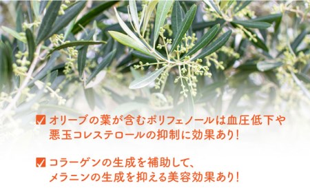 【3回定期便】オリーブリーフティー 5袋 長与町/ゆきのヶ丘オリーブ園 [EAV019]   オリーブリーフティー お茶 ティーバッグ