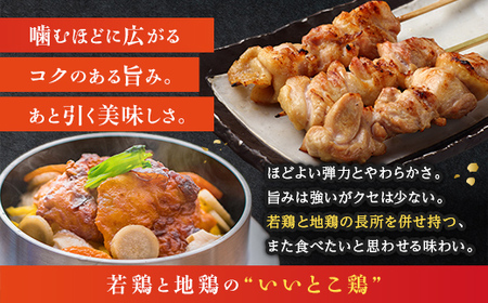 伊達鶏むねから揚げ 1kg（500g×2パック） 福島県 伊達市産 F20C-649