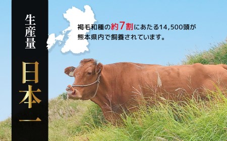 くまもと あか牛 切り落とし（コマ切れ）900ｇ |  牛肉 肉 赤牛