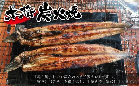 数量限定 国産 特大うなぎ 2尾 鰻