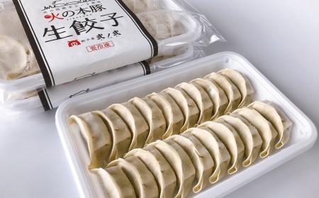 火の本豚餃子 240個入 （20個×12パック）| 豚肉 餃子 熊本 豚肉 餃子 熊本県 豚肉 餃子 くまもと 豚肉 餃子 和水 豚肉 餃子 和水町 豚肉 餃子 なごみ 豚肉 餃子 なごみまち 豚肉 餃子 火の本豚 豚肉 餃子 地域ブランド 豚肉 餃子 ブランド肉 豚肉 餃子 餃子 豚肉 餃子 20個 豚肉 餃子 12パック 豚肉 餃子 240個 豚肉 餃子 20個×12P 豚肉 餃子 冷凍 豚肉 餃子