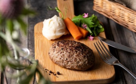 旨味凝縮あか牛100％ハンバーグ　1500ｇ（150ｇ×1０個） | 熊本県 熊本 くまもと 和水町 なごみまち なごみ 牛肉 肉 あか牛 赤牛 肥後 冷凍 ハンバーグ