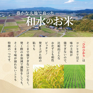 熊本県産「ひのひかり」5kg | 白米 熊本県 白米 熊本 白米 くまもと 白米 和水町 白米 なごみまち 白米 ひのひかり 白米 ヒノヒカリ 白米 5kg 白米