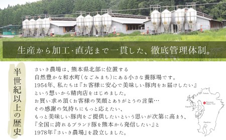 火の本豚 ボロニアソーセージ（500ｇ×6本セット） | ソーセージ 熊本 ソーセージ 熊本県 ソーセージ くまもと ソーセージ 和水 ソーセージ 和水町 ソーセージ なごみ