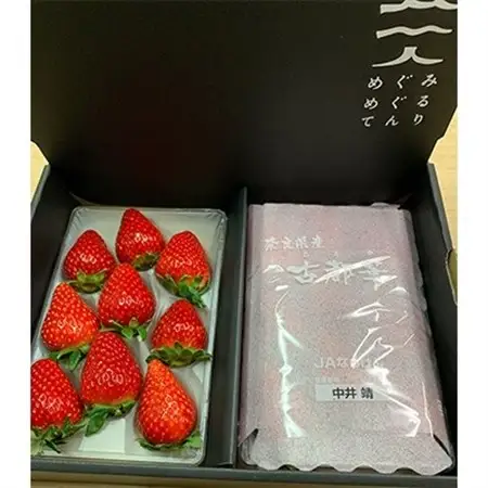 奈良で生まれた艶やかないちご　古都華　2パック_果物・フルーツ いちご  イチゴ 苺_【配送不可地域：離島】【1072515】