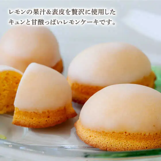 ガトーフリアン の 檸檬ケーキ 10個 / レモン ケーキ デザート おやつ / 南島原市 / ながいけ [SCH005]