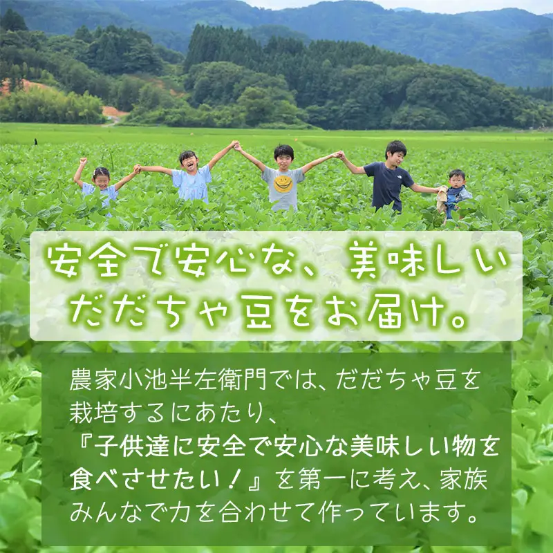 【令和8年産先行予約】朝採りだだちゃ豆 【白山】1.5kg (500g×3袋) 枝豆　小池半左衛門