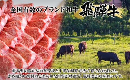 飛騨牛 シャトーブリアン ステーキ 3ヵ月定期便約800g 4～6枚切り×3 肉 牛肉 和牛 ブランド牛 お肉 ビーフ ヒレ 希少部位 赤身 国産 ご褒美 豪華 グルメ 焼肉 BBQ パーティー ギフト 贈り物 送料無料 焼肉マルイ 岐阜県 【 安八町 】
