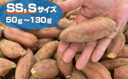 中園ファーム 種子島 安納いも （ 生芋 ） SS,Sサイズ 10kg　NFN473【400pt】 