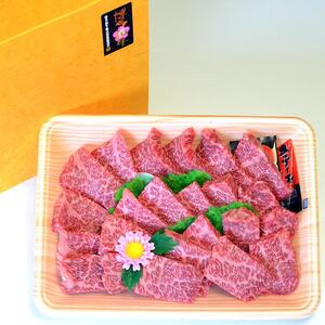 博多和牛A5～A4 肩ロースミニステーキ400g　ソース・塩胡椒付【化粧箱入】