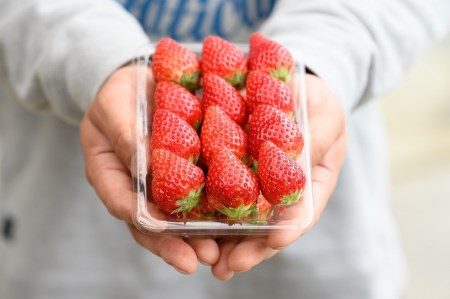 冷凍いちご 1kg  いちご農家さんからの直送品（500g×２袋）