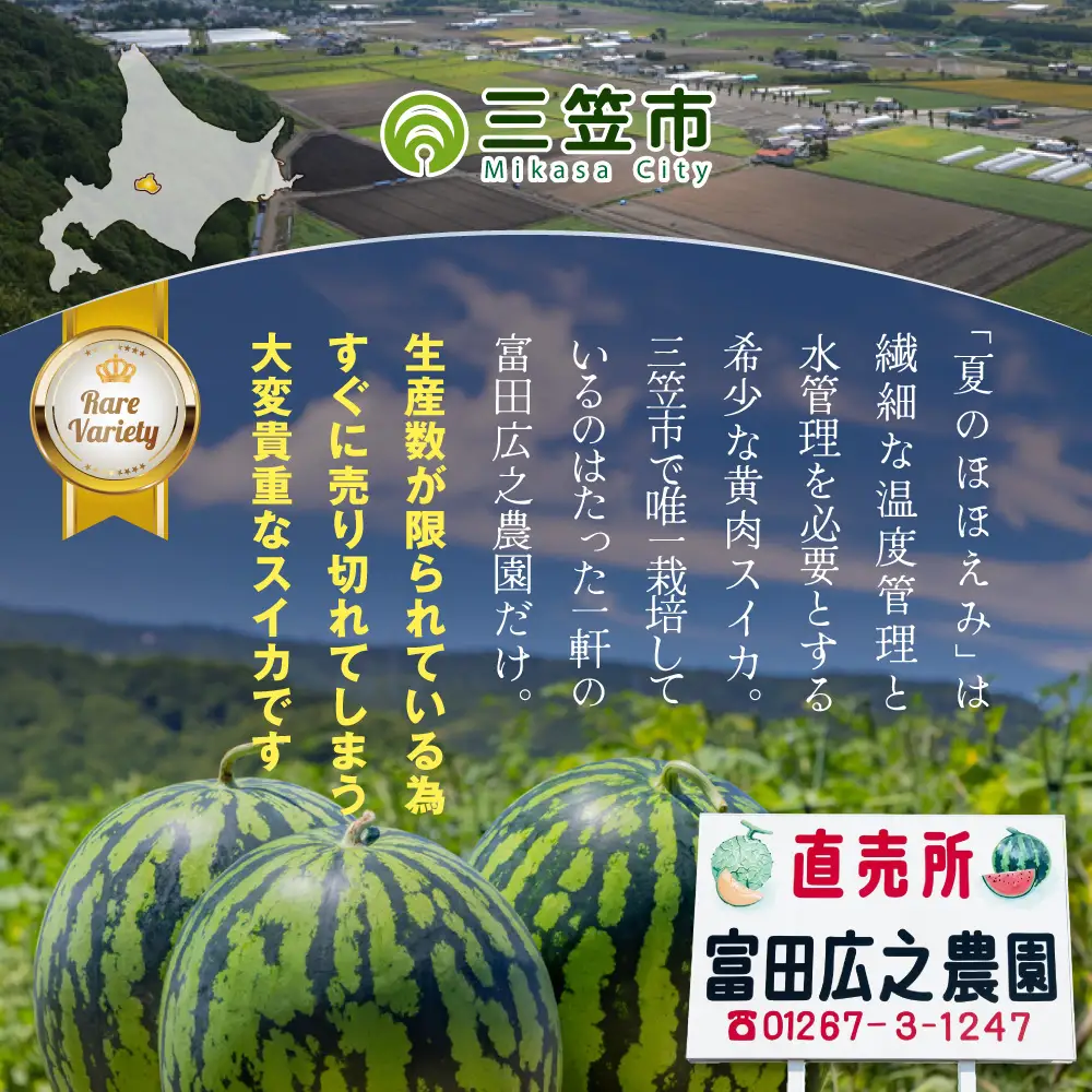 《2026年分受付中》黄色いスイカ夏のほほえみ1玉(4～6kg)【01146】