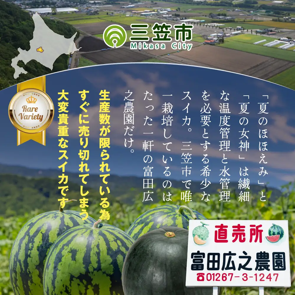 《2026年分受付中》【定期便2回】スイカ2種(夏のほほえみ・夏の女神)食べ比べ【01147】