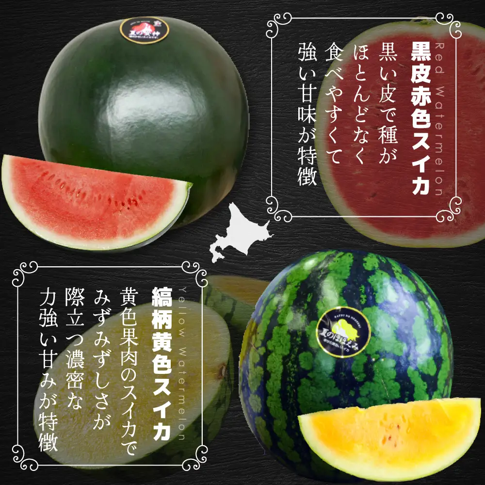 《2026年分受付中》秋に収穫される赤色スイカor黄色スイカ2～4玉(約9kg)【01149】