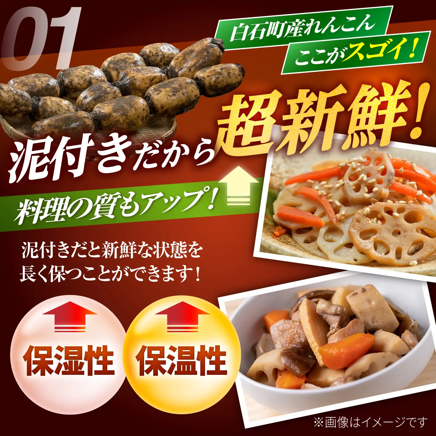 【先行予約 2026年10月～発送】白石町産 泥付きれんこん （4kg） / れんこん 蓮根 [IAK015]