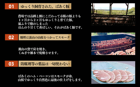無添加 5大アレルゲン不使用 ばあく豚 の よくばり セット （ ハム ・ ベーコン ・ ソーセージ 詰合せ ） | 肉 にく ニク お肉 焼肉 奈良県 五條市 手作り 無添加 奈良県 金剛山麓 冷凍 甘味 お取り寄せ グルメ 送料無料 手作りハム・ソーセージ工房ばあく 手作り 加工品 豚 ポーク スパイス 山桜 スモーク 自慢 安心 にんにく こだわり ボンレスハム スモークベーコン ボーン