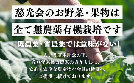 生命の農法（無化学農薬・無化学肥料栽培）キウイフルーツ（約3kg）キウイ　フルーツ　キウイフルーツ