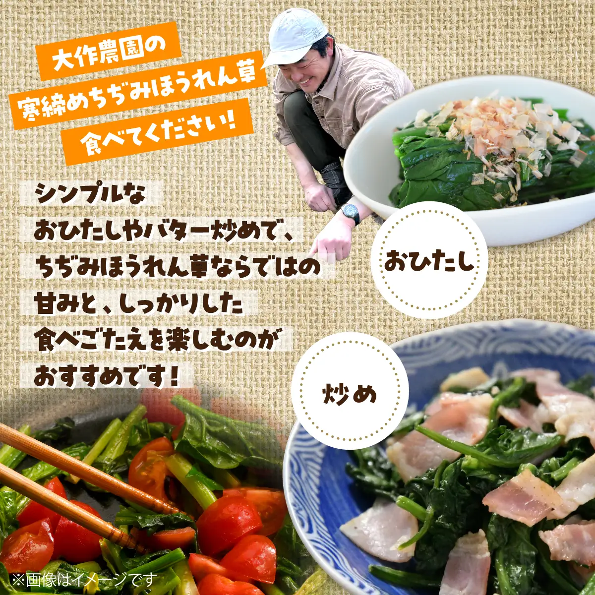 ＜2026年12月・2027年8月お届け＞大作農園　寒締めちぢみほうれん草約1.2kg・カラフルミニトマト約1.5kg　2回お届け定期便 SBTR006