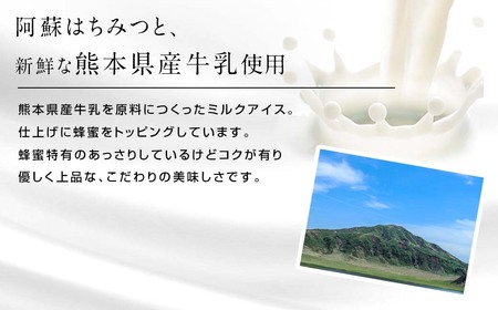 ASO ミルク アイス (阿蘇はちみつ入り) 3種 15個セット (ミルク チョコレート ストロベリー 各5個)