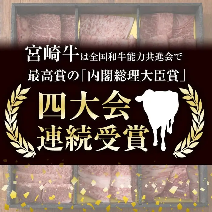 宮崎牛ステーキ(ロース・モモ)セット(合計1kg・各500g)国産 牛肉 お肉 冷凍【R-77】【ミヤチク】