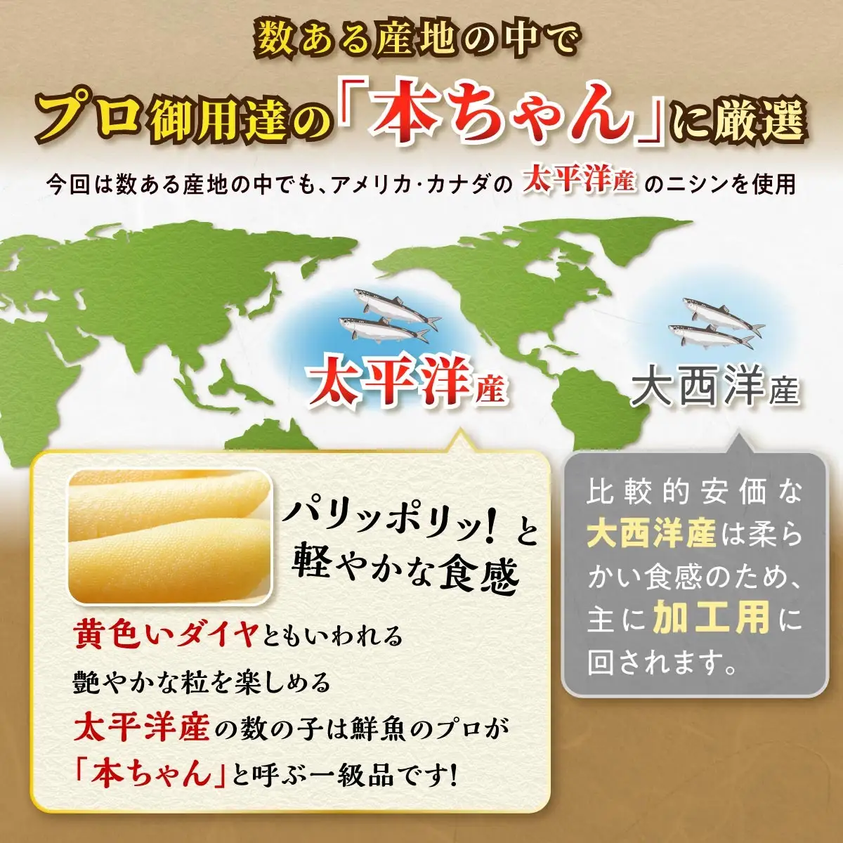 わさびマヨ数の子【600g（200g×3）】_T012-0319