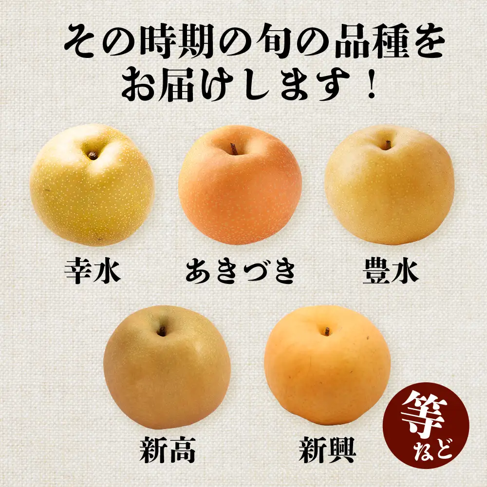 【7月下旬～10月発送】東光寺 梨 4kg (8～15玉) 1箱 025-0572