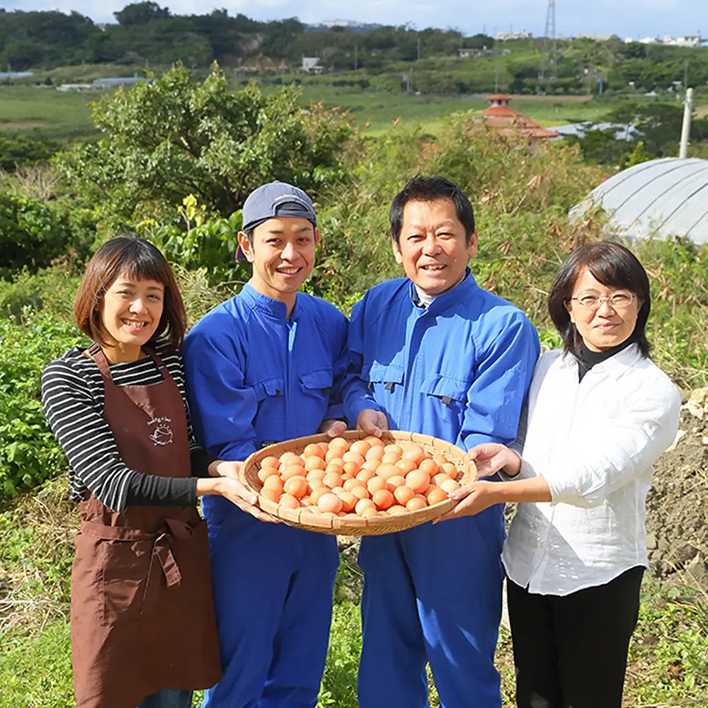 美ら卵養鶏場 卵にこだわった「台湾カステラ」3台入り