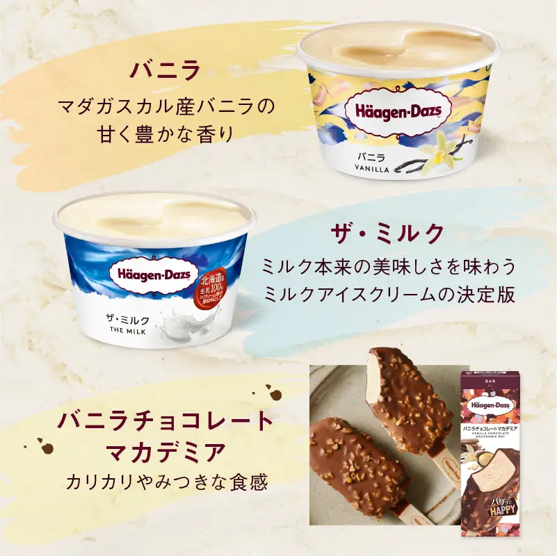 ハーゲンダッツ バラエティセット アイス アイスクリーム _H0016-105