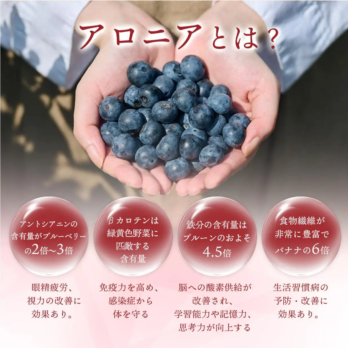 北海道 伊達大滝産 生 はちみつ 3種 各140g 国産 ハチミツ 蜂蜜 ハニー アロニア スーパーフード 北のハイグレード食品 ギフト 花カフェアイバレー 送料無料 55250766