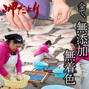 岬だより 南知多干物セット 幸 [配送不可地域：離島]