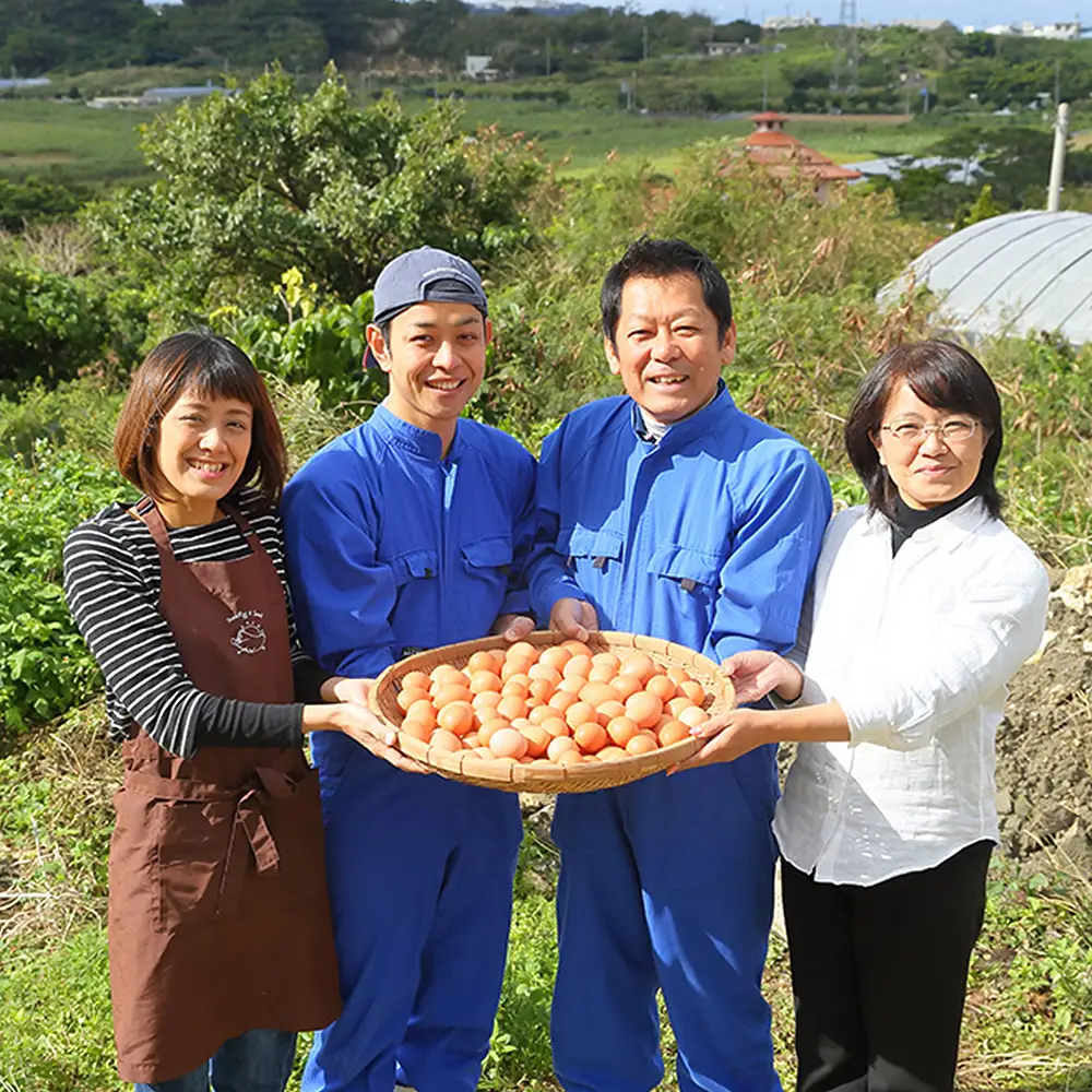 美ら卵養鶏場 卵にこだわった「台湾カステラ ココア」3台入り