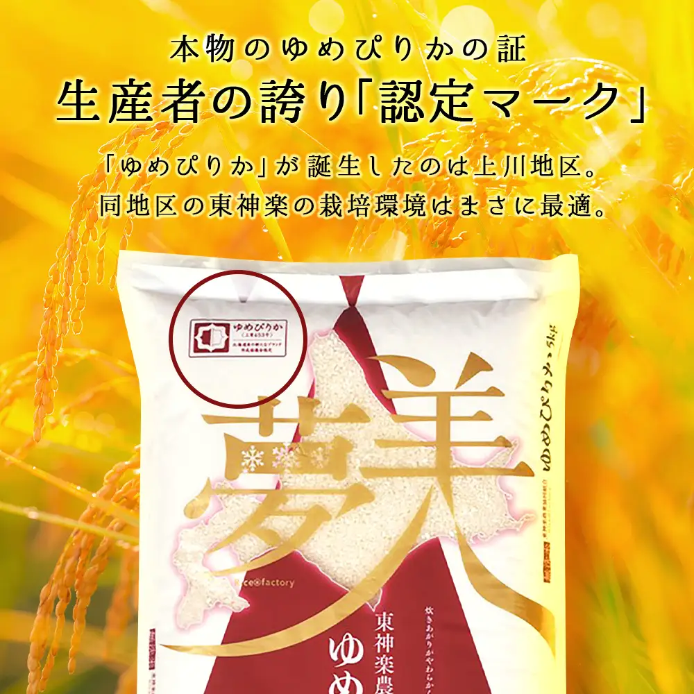 令和7年産 【お米の定期便】ゆめぴりか 5kg 《無洗米》全12回