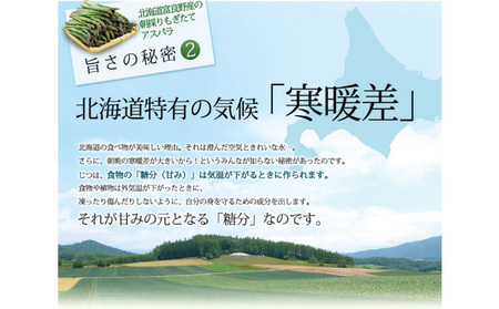 【2027年春発送】ふらの産☆生で食べれる アスパラ【2kg】100本前後 サイズ混合 野菜 アスパラガス 大容量